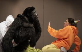 Spektakl „Ja goryl, Ty człowiek”  