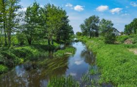 Chrząstowice, rzeka Chrząstawa fot. Przemysław Supernak, SuperGlob