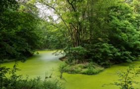 Dawna kopalnia w Falmirowicach fot. Przemysław Supernak, SuperGlob